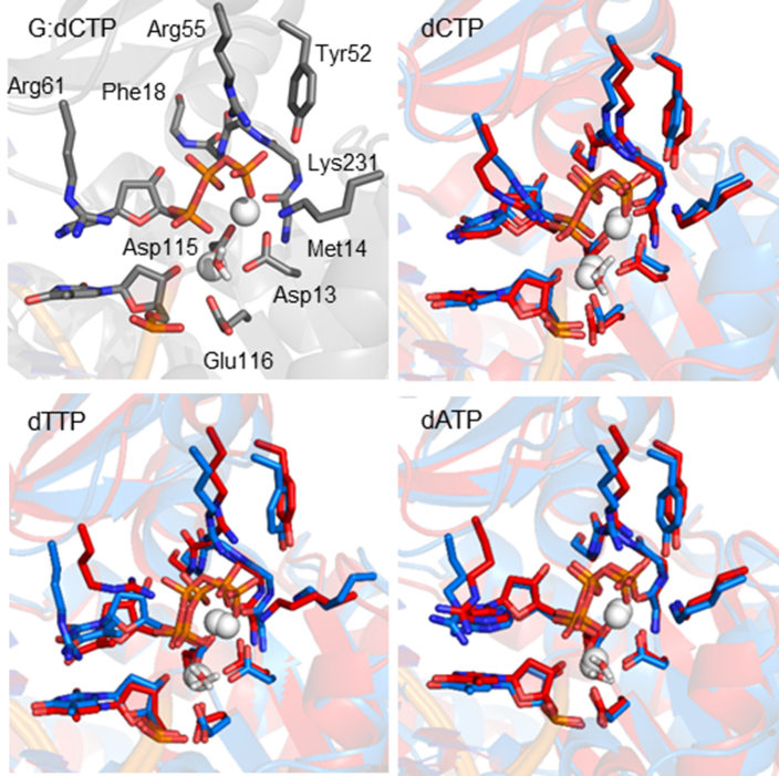 Figure 10.