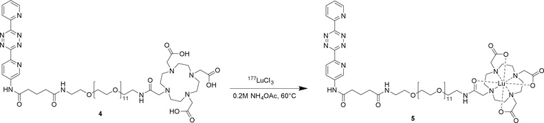 Scheme 2.