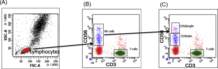 Figure 1