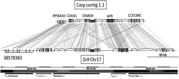 FIG. 2.