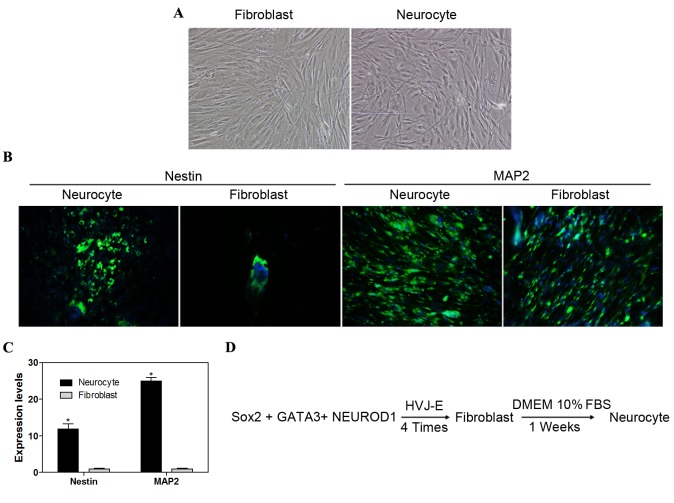 Figure 4.