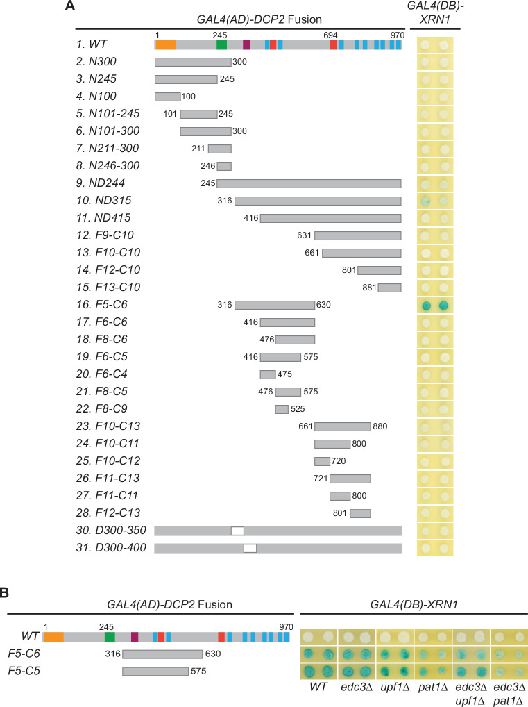 Figure 6—figure supplement 1.