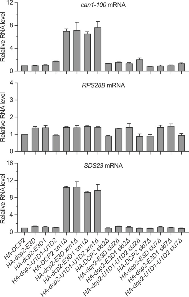 Figure 3—figure supplement 1.