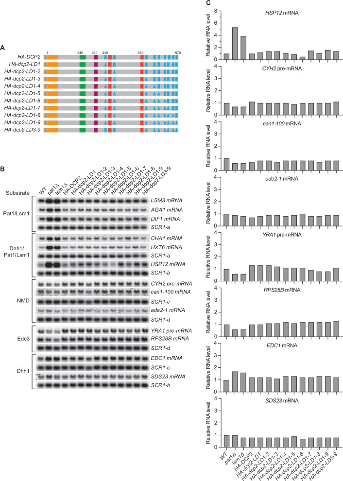 Figure 2—figure supplement 1.