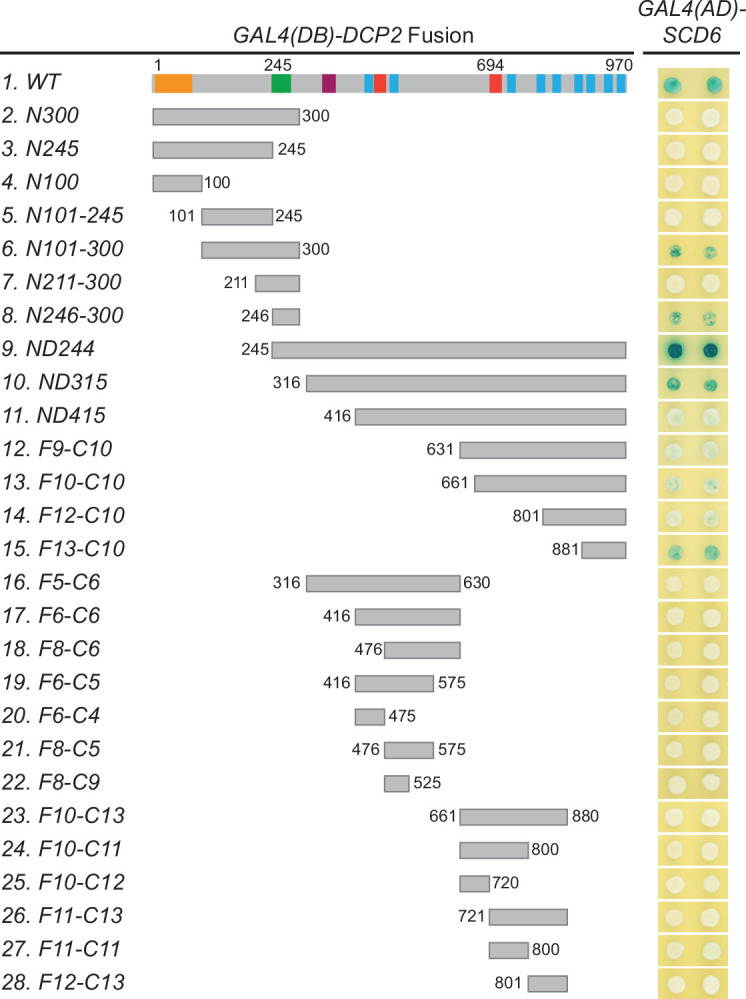 Figure 7—figure supplement 1.