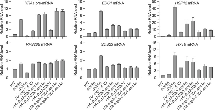 Figure 4—figure supplement 5.