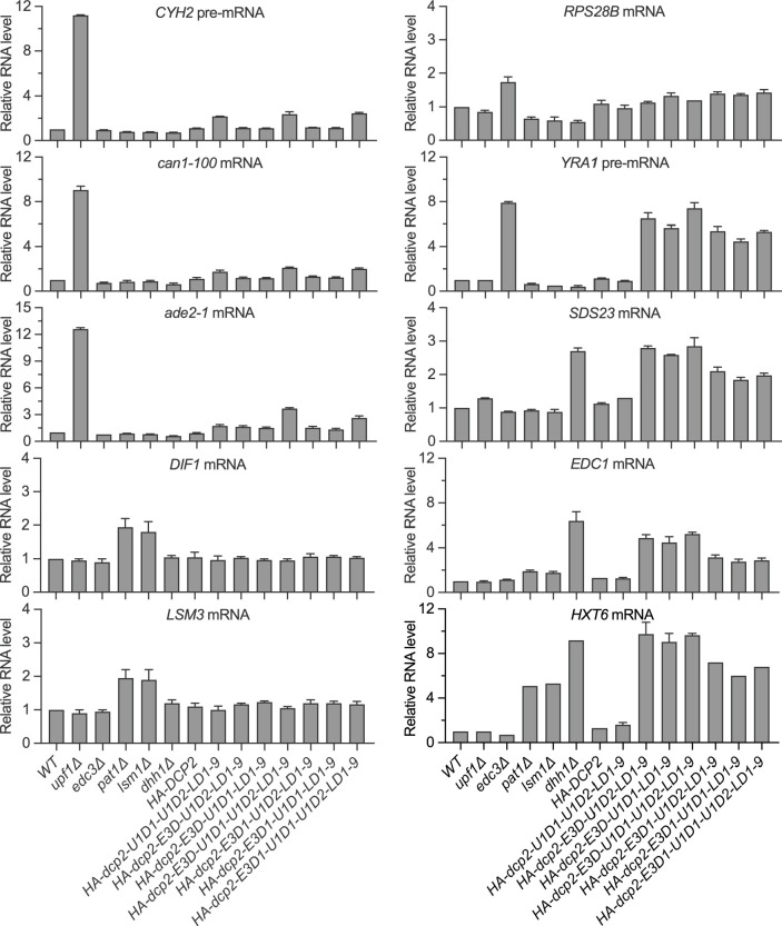 Figure 4—figure supplement 4.