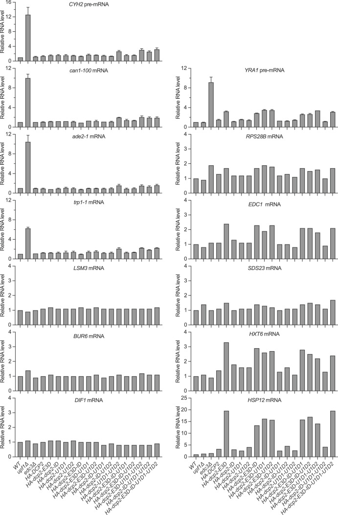 Figure 1—figure supplement 2.