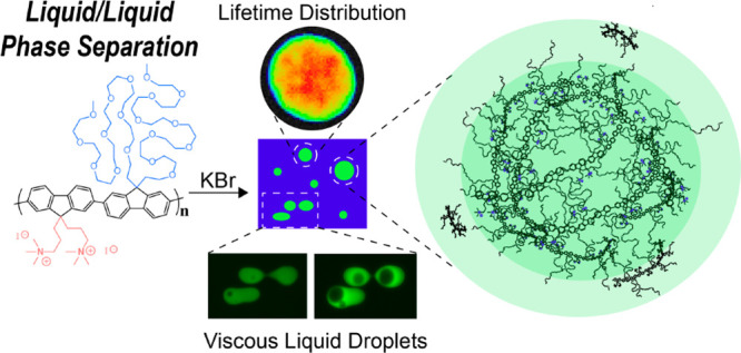 graphic file with name jz2c02466_0007.jpg