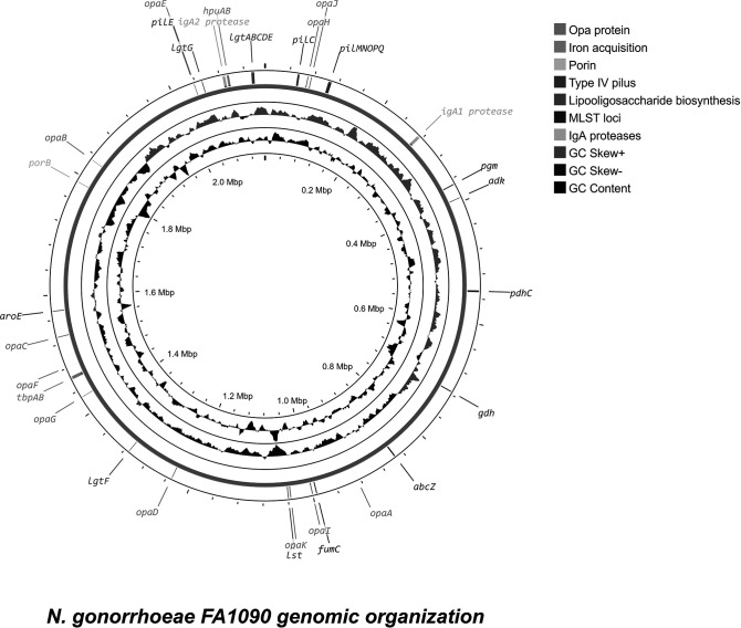 Fig. 1.