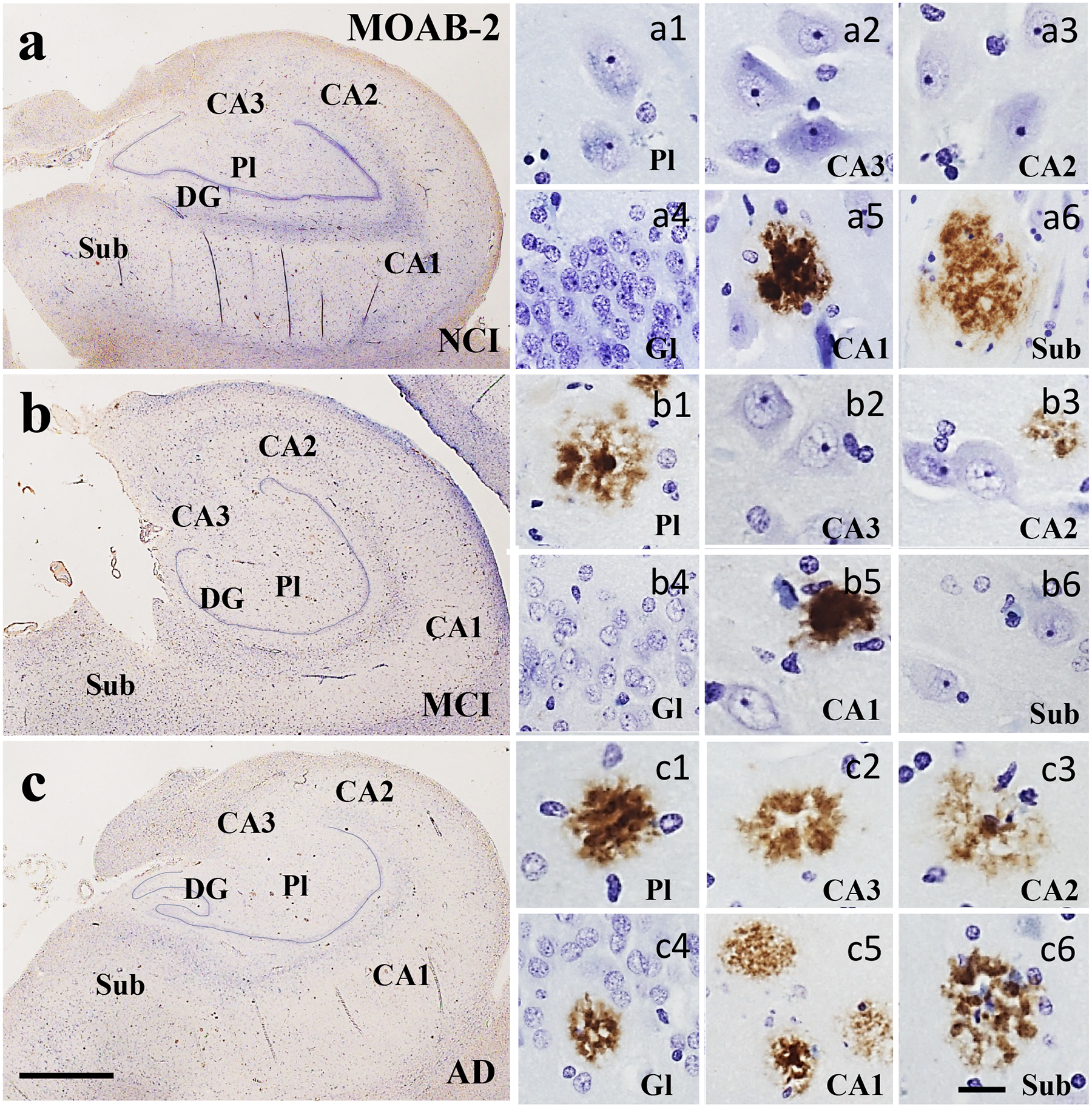 Figure 10.