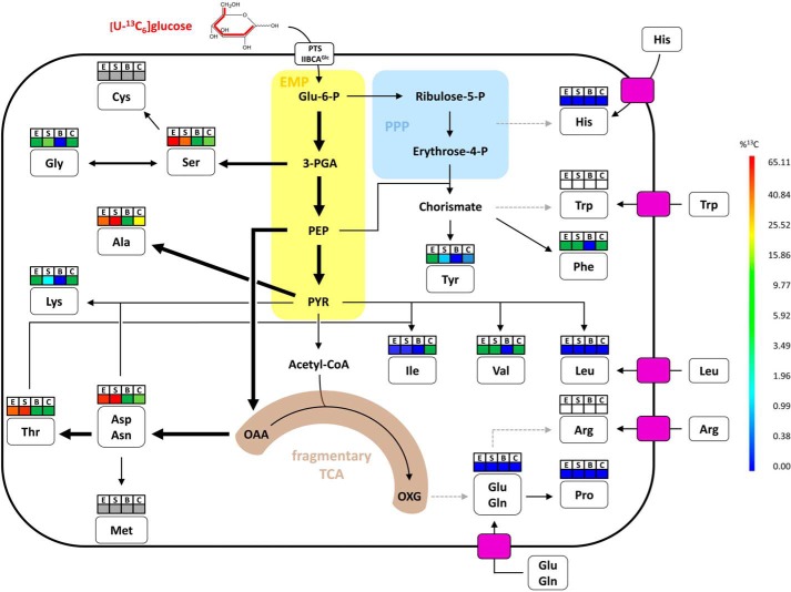 FIGURE 6.