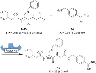 Scheme 2