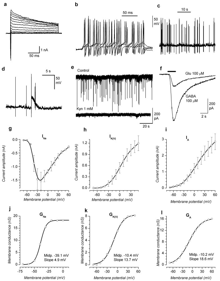 Figure 5.