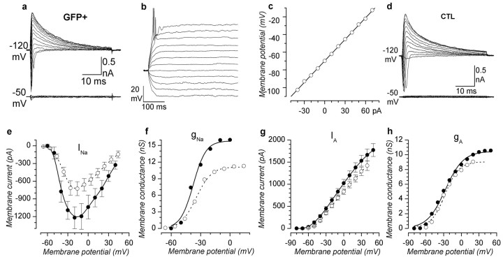 Figure 3.