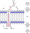 Fig. 2.
