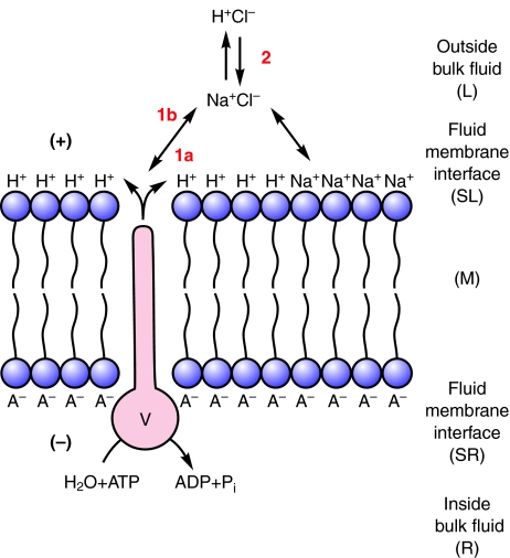 Fig. 2.