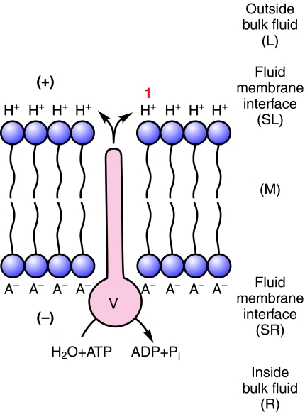 Fig. 1.