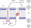 Fig. 3.