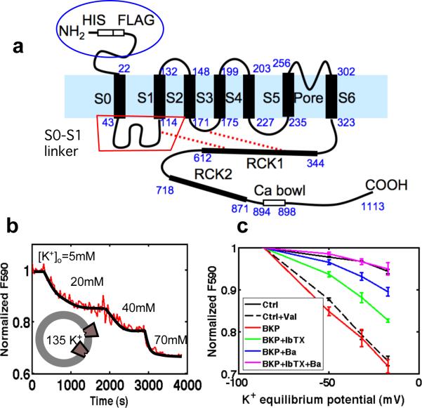 Fig. 1