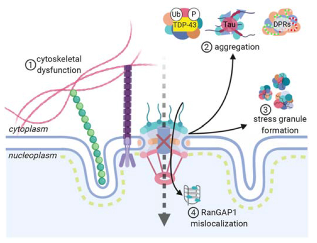 Figure 3: