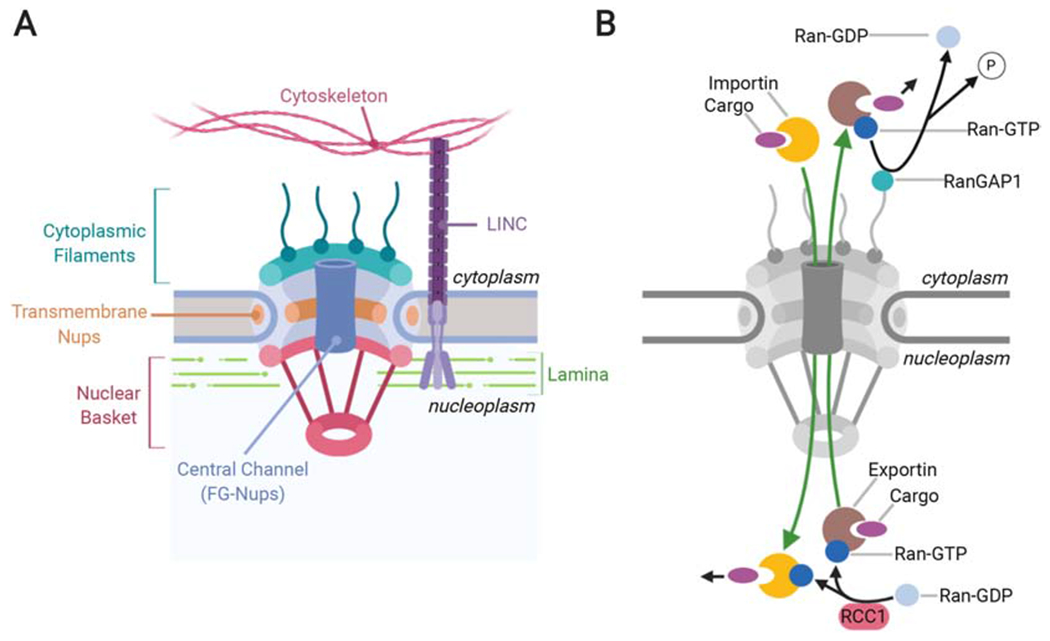 Figure 1: