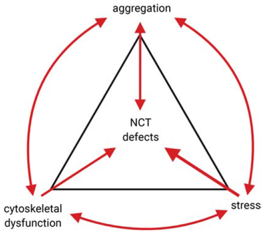 Figure 4: