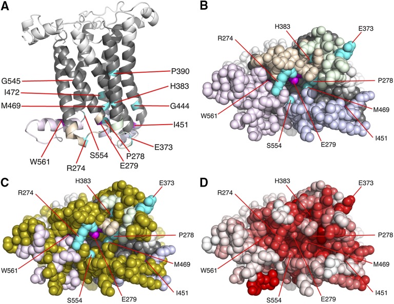 Figure 6 