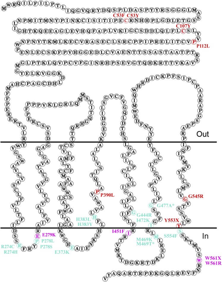 Figure 2 