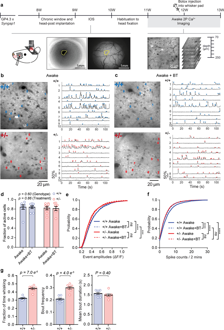 Figure 2: