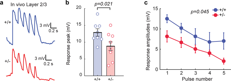 Figure 6: