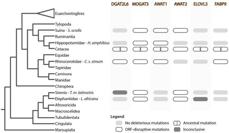 Fig. 4.