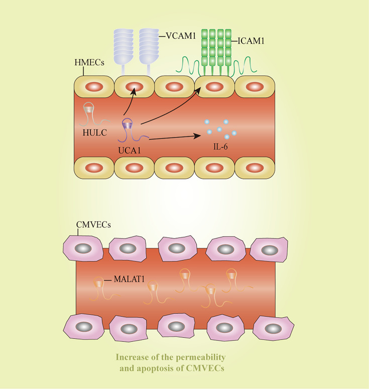 Figure 5