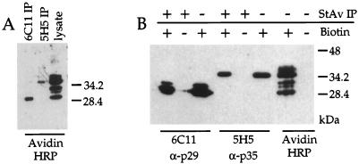 FIG. 5