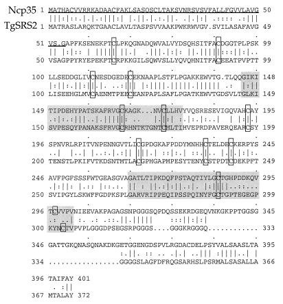 FIG. 7