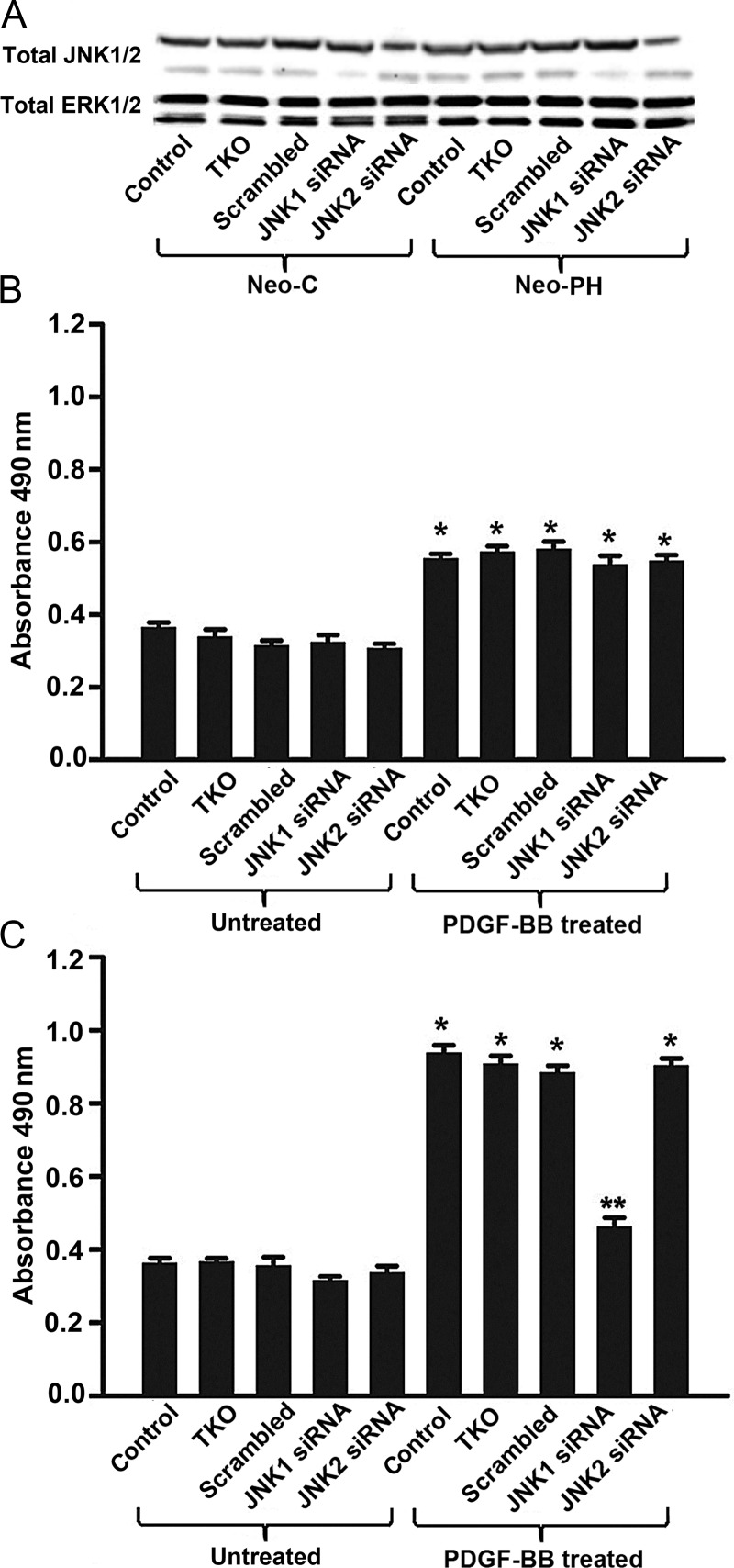 Figure 6