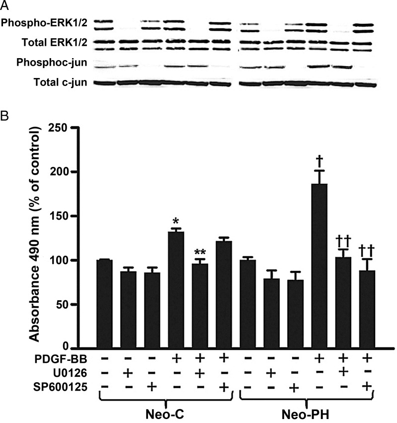 Figure 5