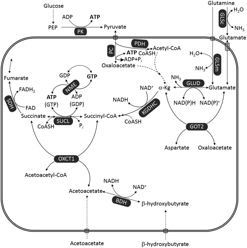 Figure 5.