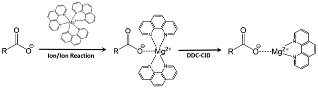 Scheme 1.