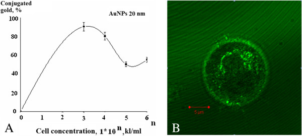 Figure 16