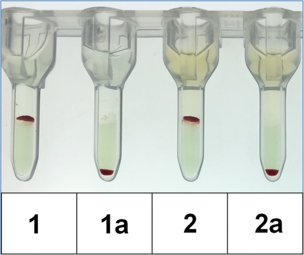 Fig. 2