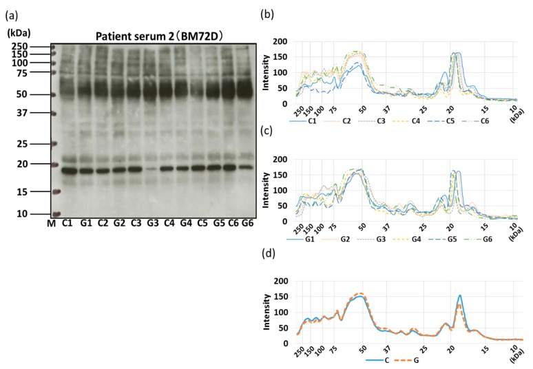 Figure 12