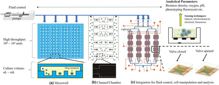 FIGURE 2