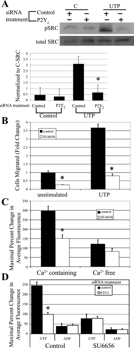 Fig. 9.