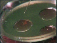 Figure 6: