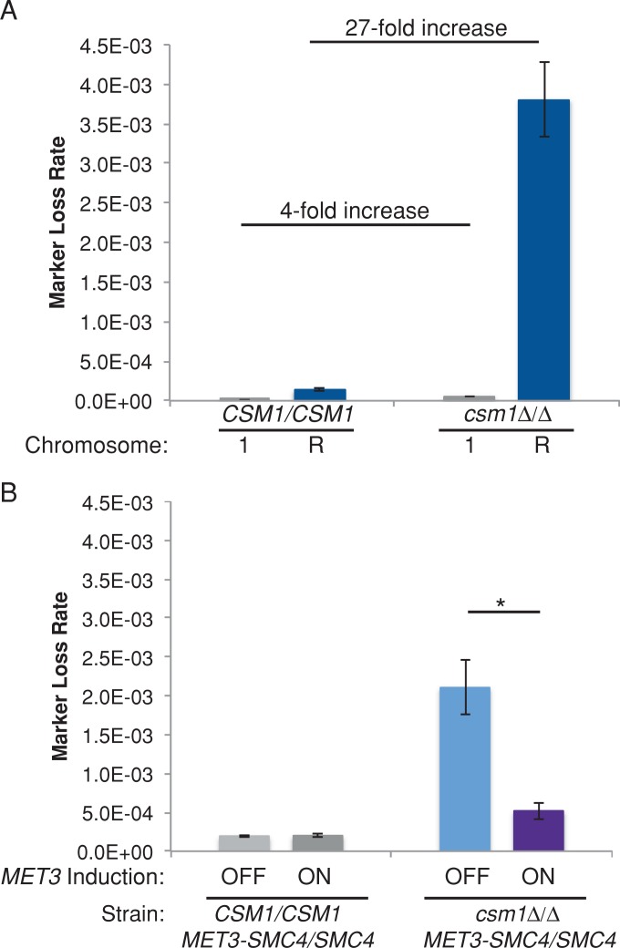 FIGURE 7: