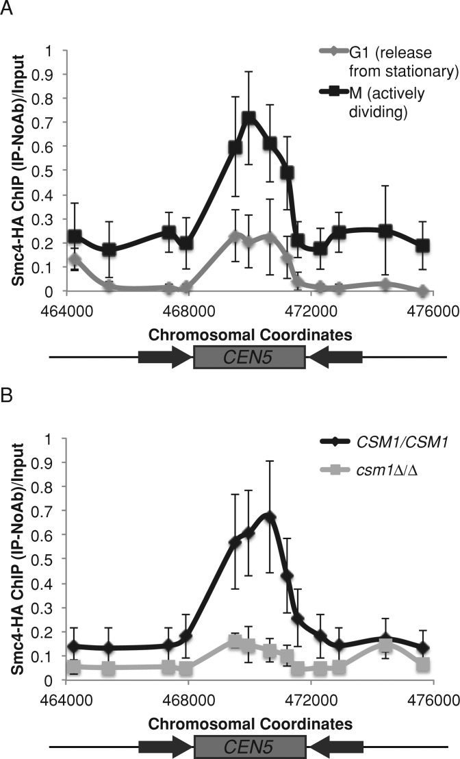 FIGURE 4: