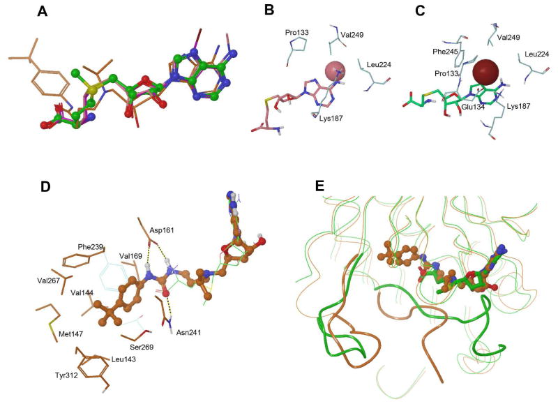 Figure 6