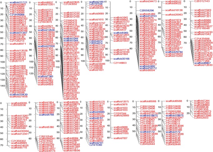 Figure 3.