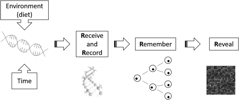 Fig. 1